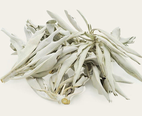 Pure Leaf Large Bundle White Sage